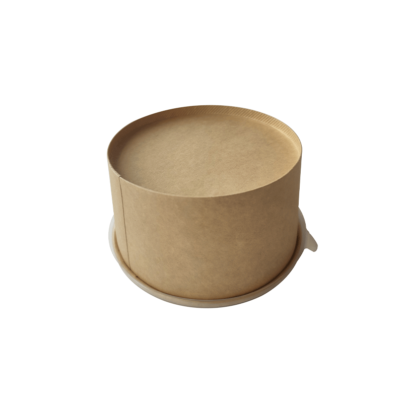 Paper Bowl