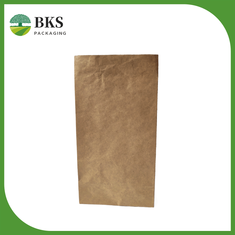 Paper bag